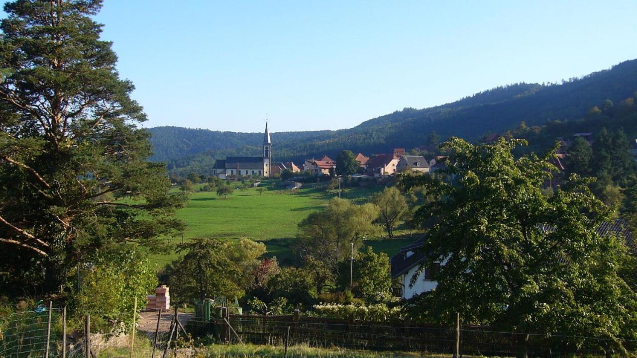 Hotel Du Haut Koenigsbourg- Entre Vignes Et Chateau Thannenkirch Εξωτερικό φωτογραφία